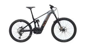 2024 ALPINE TRAIL E2 29"