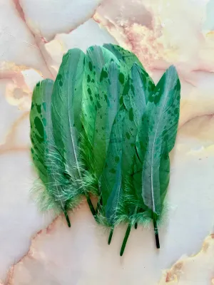 Feather 82