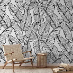 Feather Silhouettes Wallpaper Mural