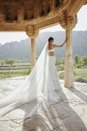 NAYAAB MIRROR & ZARDOZI SILK SKIRT SET - IVORY