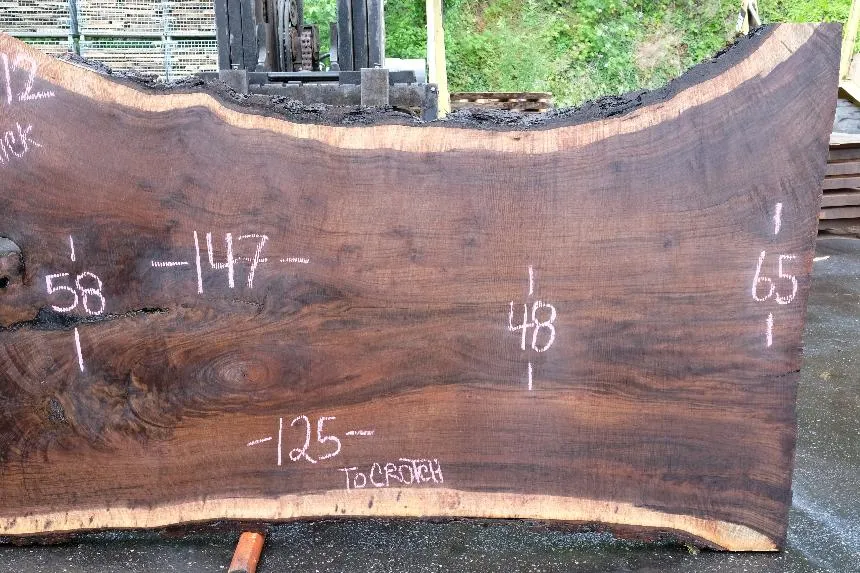 Oregon Black Walnut Slab 061723-12