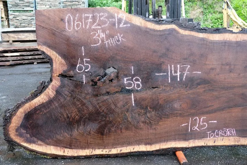 Oregon Black Walnut Slab 061723-12