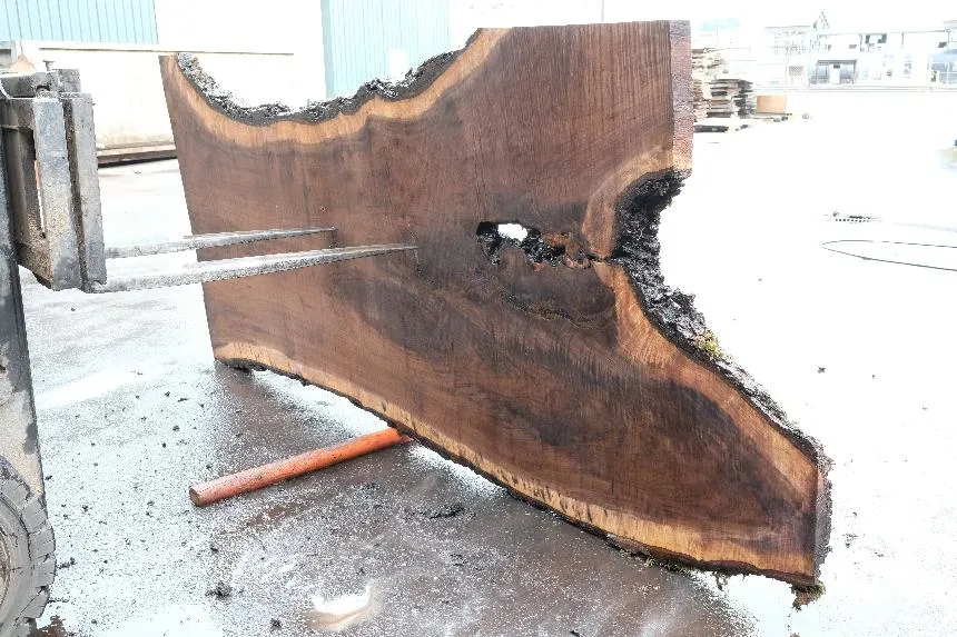 Oregon Black Walnut Slab 061723-12