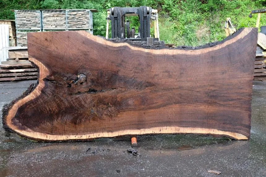 Oregon Black Walnut Slab 061723-12