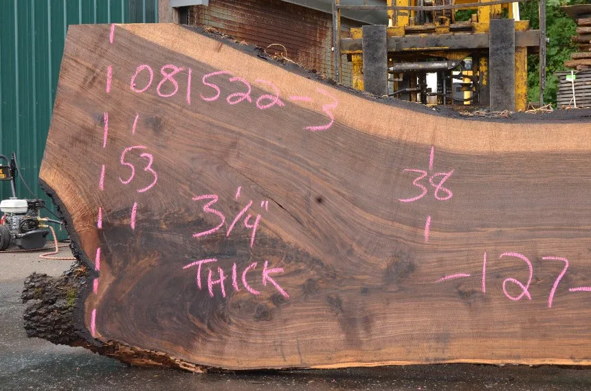 Oregon Black Walnut Slab 081522-03