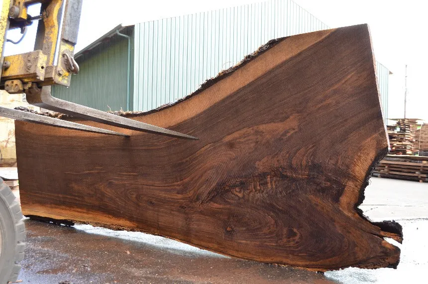 Oregon Black Walnut Slab 081522-03