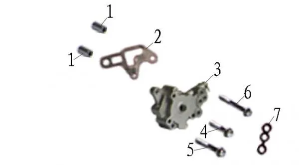 Trail 400 Oil Pump