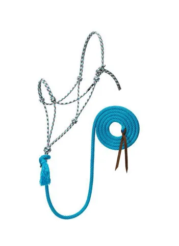 Weaver Leather Silvertip No. 95 Rope Halter With 10' Lead