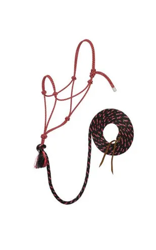 Weaver Leather Silvertip No. 95 Rope Halter With 10' Lead