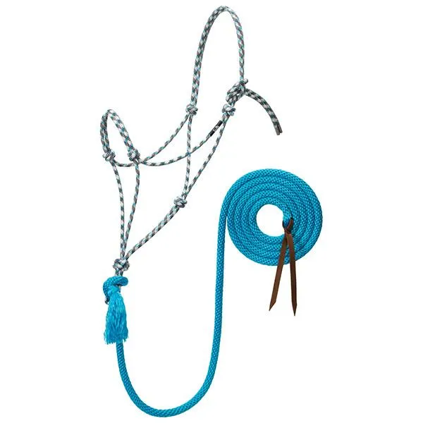 Weaver Leather Silvertip No. 95 Rope Halter With 10' Lead