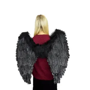 Wings-Black Feather